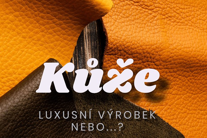 Náhledová fotografie s titulkem "Kůže"