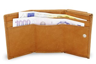 Světle hnědá dámská kožená mini peněženka 511-4392A-05