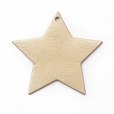 Zlatá vánoční ozdoba hvězda 619-1216-31