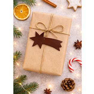 Hnědá vánoční ozdoba kometa 619-1214-41