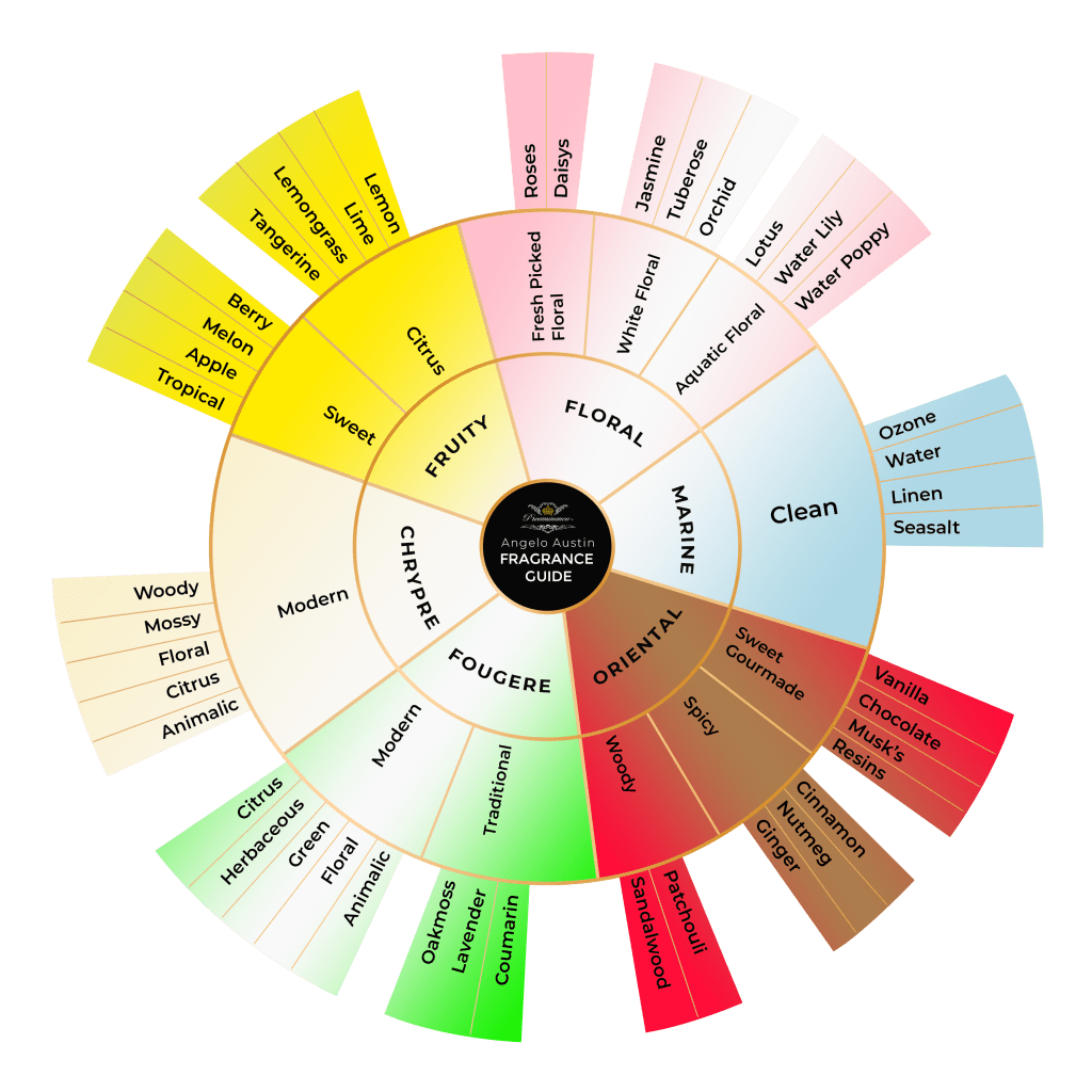 Grafické rozdělení vůní dle stylů