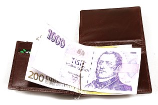 Tmavě hnědá pánská kožená peněženka - dolarovka 519-8103-47