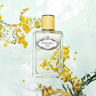 Prada Infusion de Mimosa EDP 100 ml